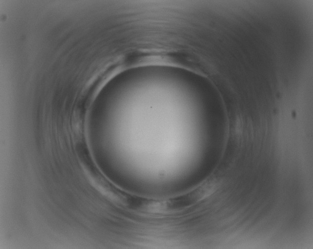 X0000052550084200507011141