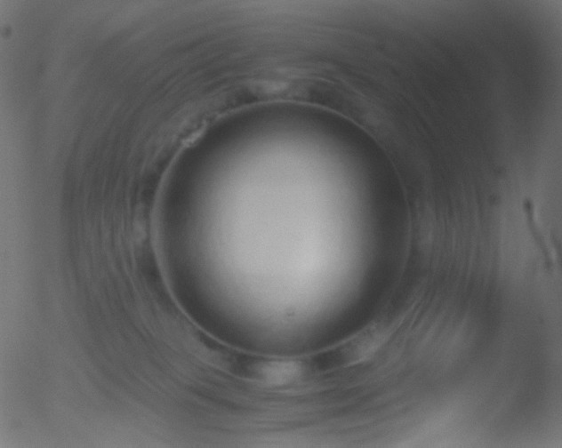 X0000052550085200507011141