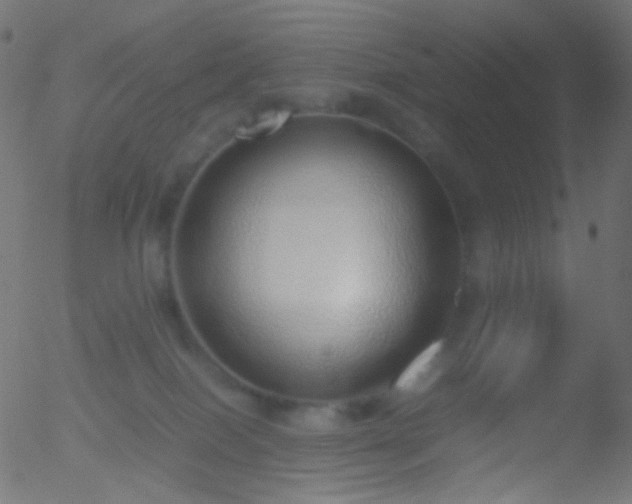 X0000052550086200507011141