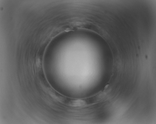 X0000052550087200507011141