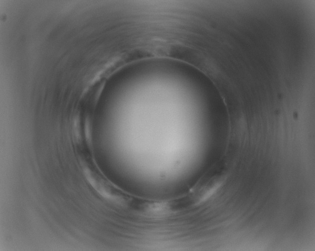 X0000052550088200507011141