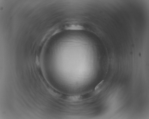 X0000052550089200507011141