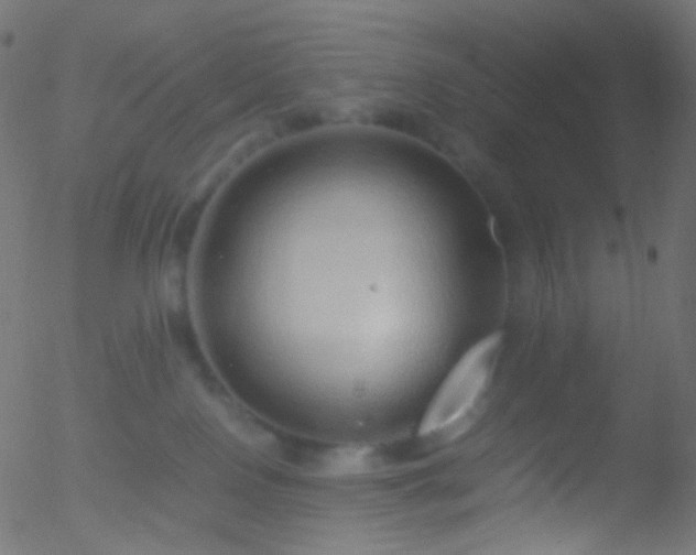 X0000052550090200507011141