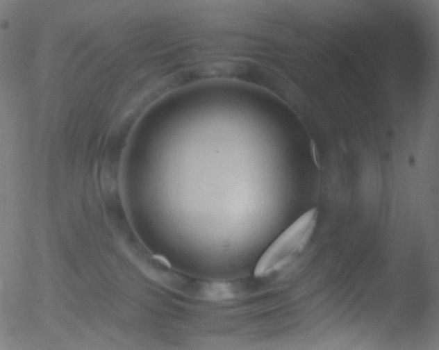 X0000052550091200507011141