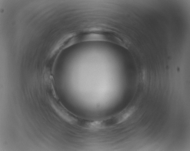 X0000052550092200507011141