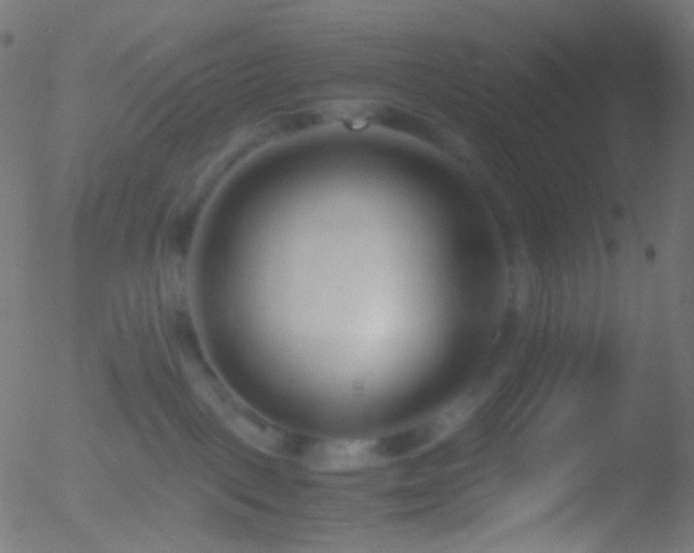 X0000052550093200507011141