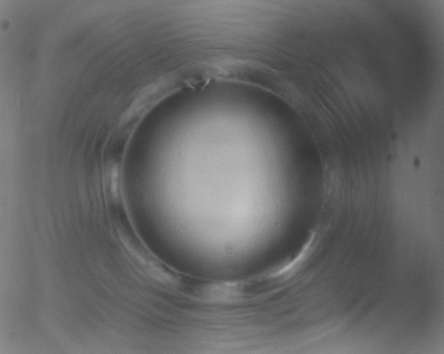 X0000052550094200507011141