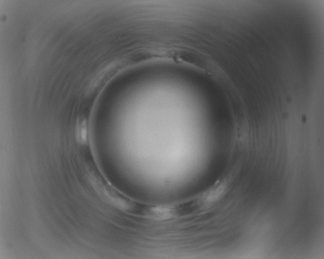 X0000052550095200507011141