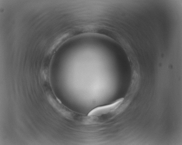 X0000052550096200507011141