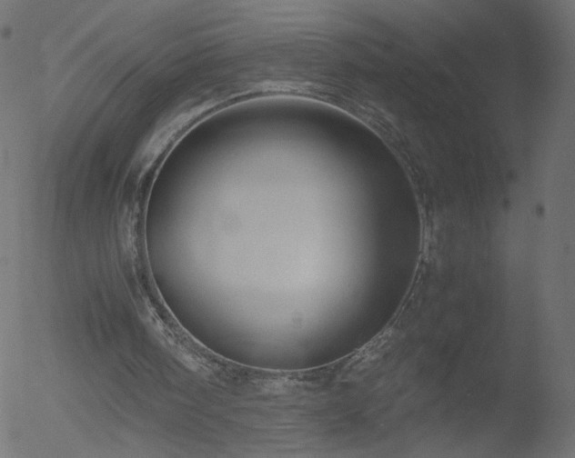 X0000052550098200507011140