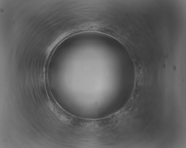 X0000052550100200507011140