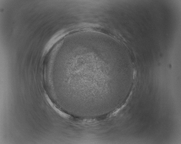 X0000052550101200507011140