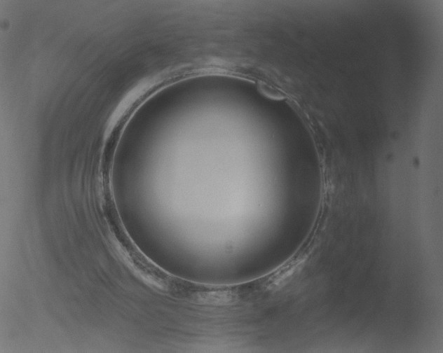 X0000052550102200507011140