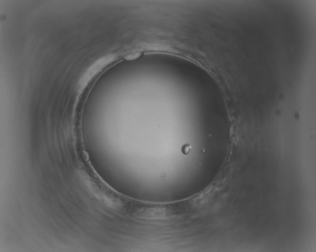 X0000052550104200507011140