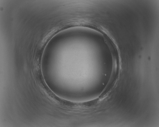 X0000052550105200507011140