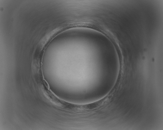 X0000052550107200507011140