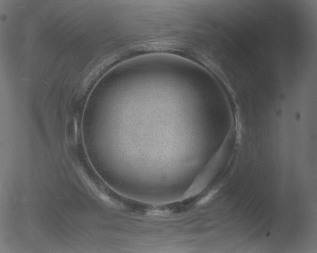 X0000052550109200507011140