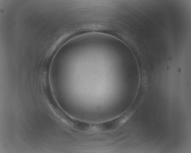 X0000052550111200507011140