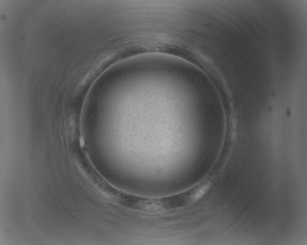 X0000052550113200507011140