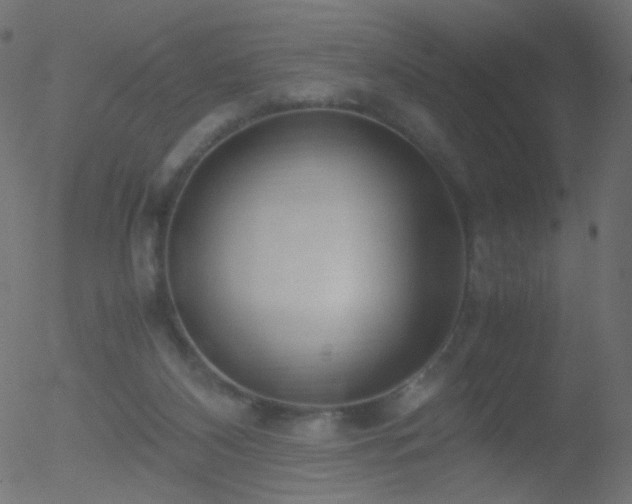 X0000052550116200507011140