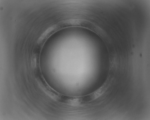 X0000052550120200507011140