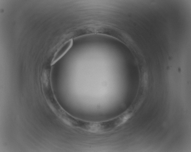 X0000052550121200507011140