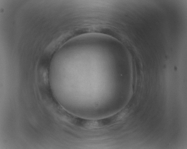 X0000052550123200507011140