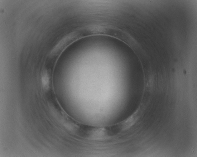 X0000052550124200507011140