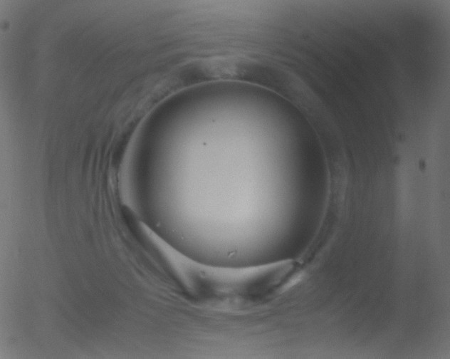 X0000052550125200507011140