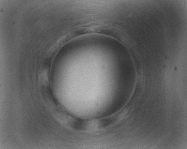 X0000052550127200507011140