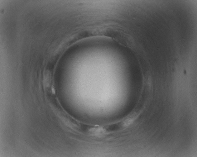 X0000052550133200507011140