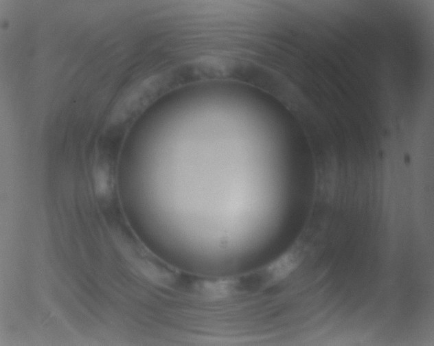 X0000052550134200507011140