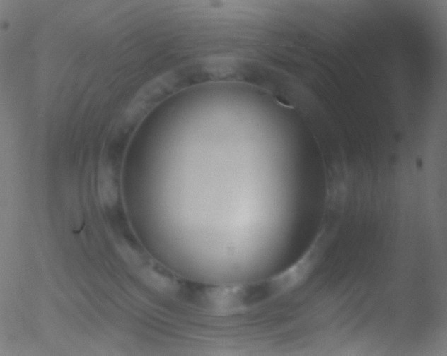 X0000052550136200507011140