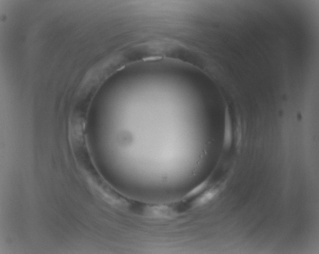 X0000052550137200507011140