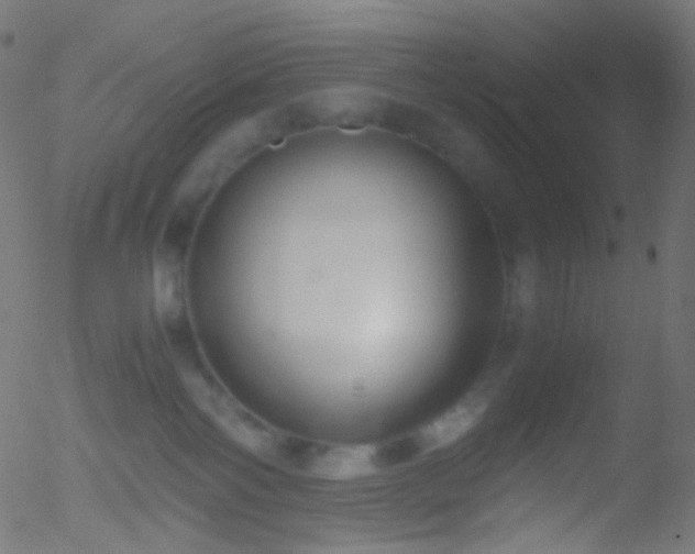 X0000052550138200507011140