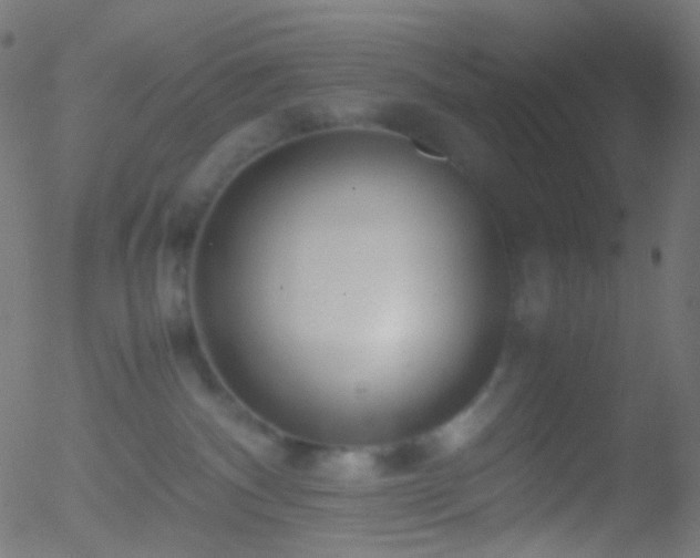 X0000052550140200507011140