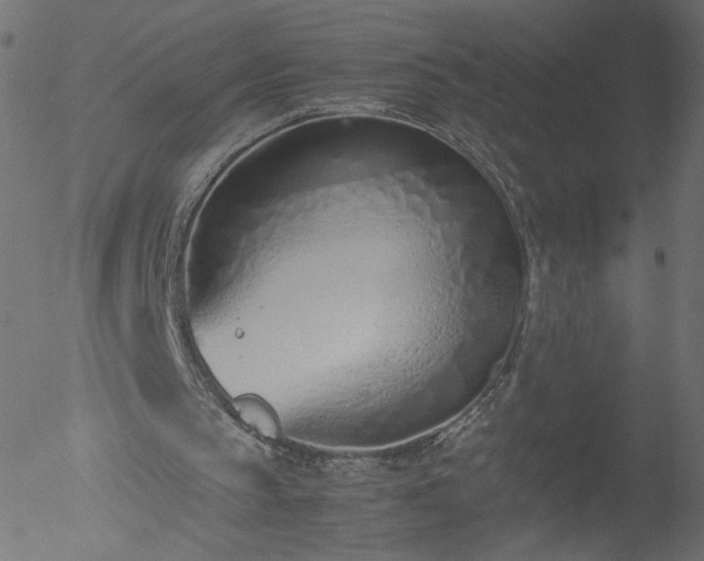 X0000052550145200507011139