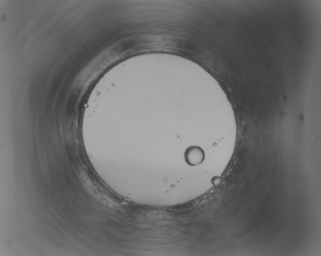 X0000052550146200507011139