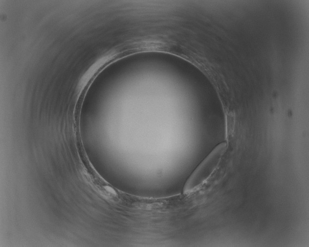 X0000052550147200507011139