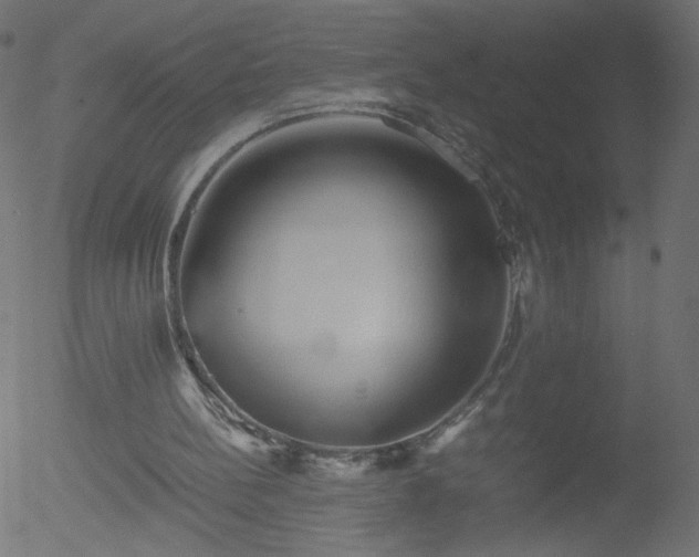 X0000052550148200507011139