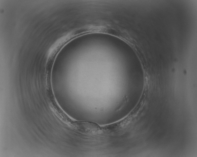 X0000052550149200507011139