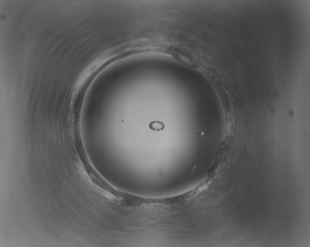 X0000052550150200507011139