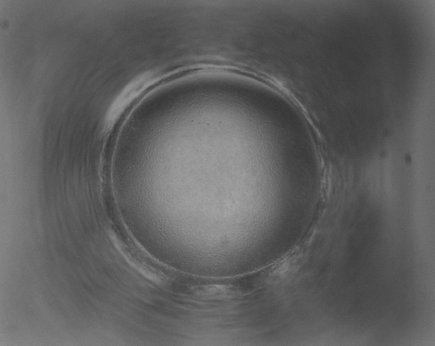 X0000052550151200507011139