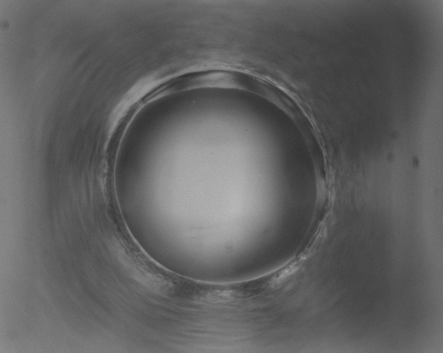 X0000052550152200507011139