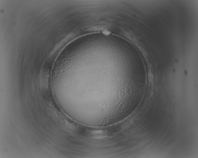 X0000052550153200507011139