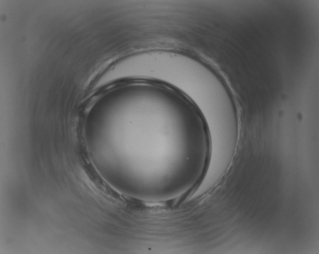 X0000052550154200507011139