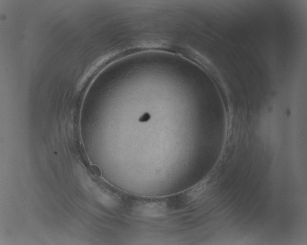 X0000052550155200507011139