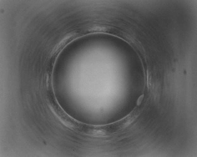 X0000052550157200507011139