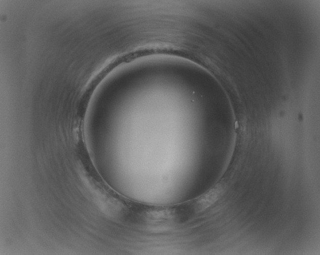 X0000052550160200507011139