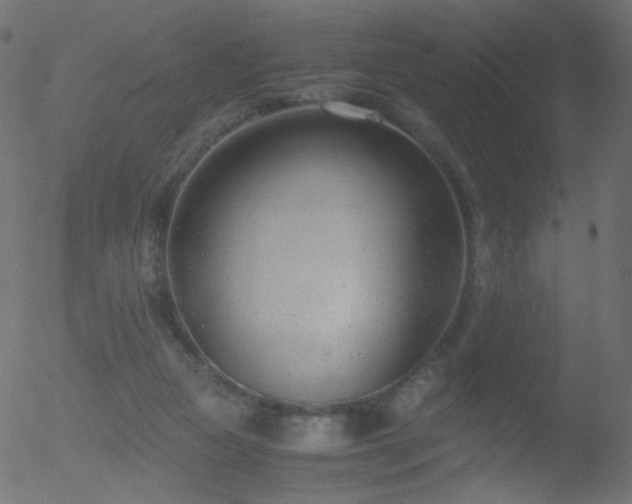 X0000052550161200507011139